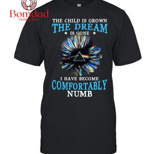 Pink Floyd The Child I Grown The Dream Is Gone I Have Become Comfortably Numb T Shirt