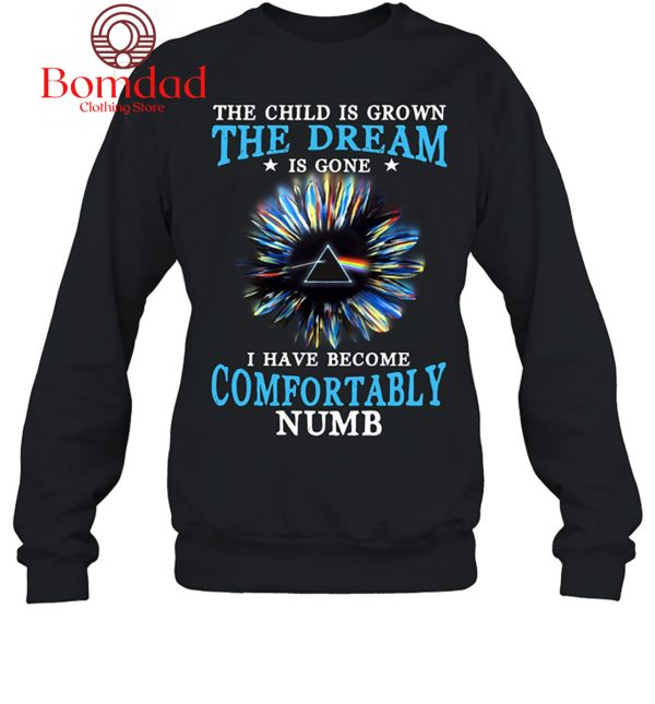Pink Floyd The Child I Grown The Dream Is Gone I Have Become Comfortably Numb T Shirt
